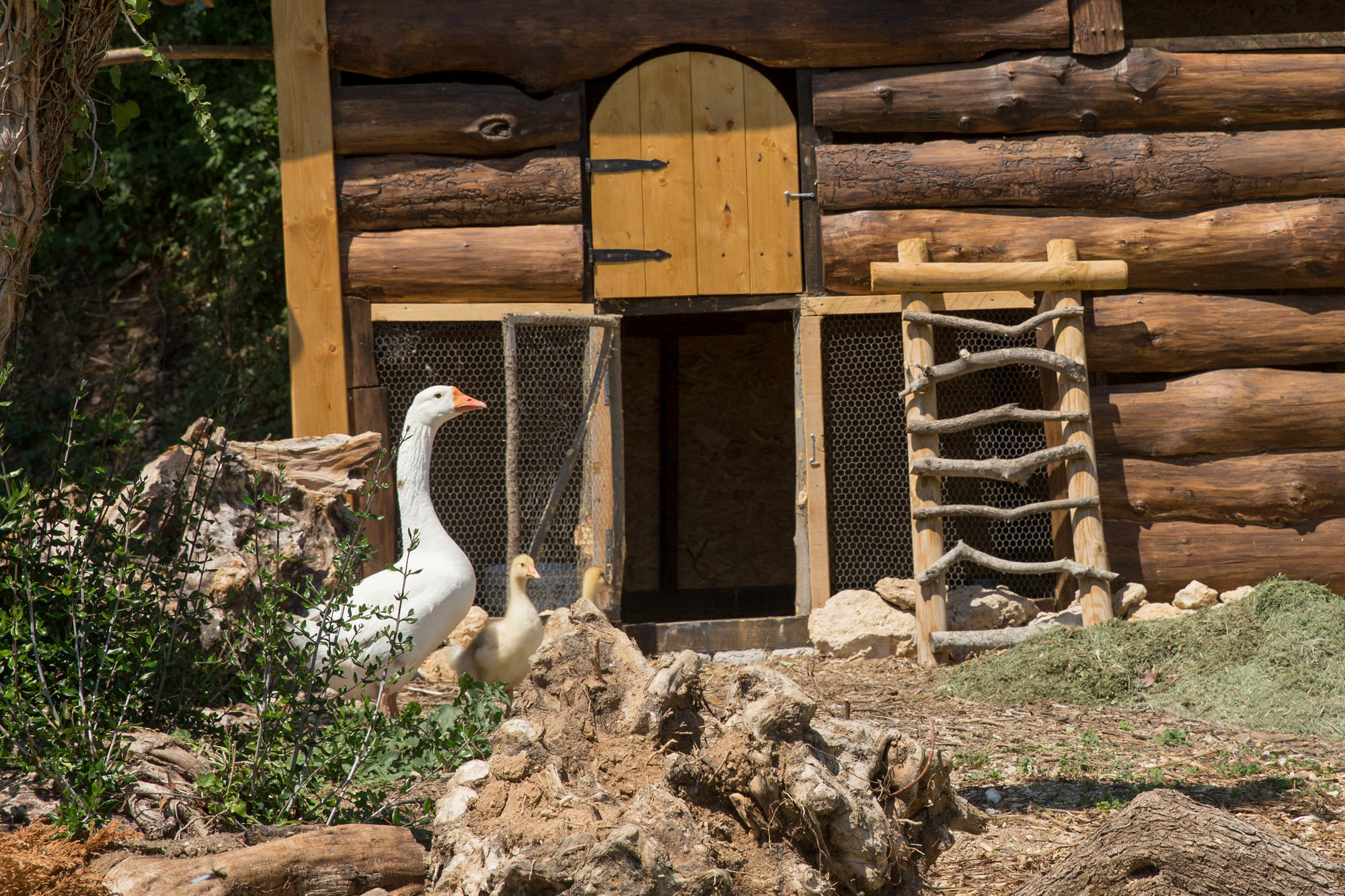Agriturismo Le Anfore Sarteano Dış mekan fotoğraf