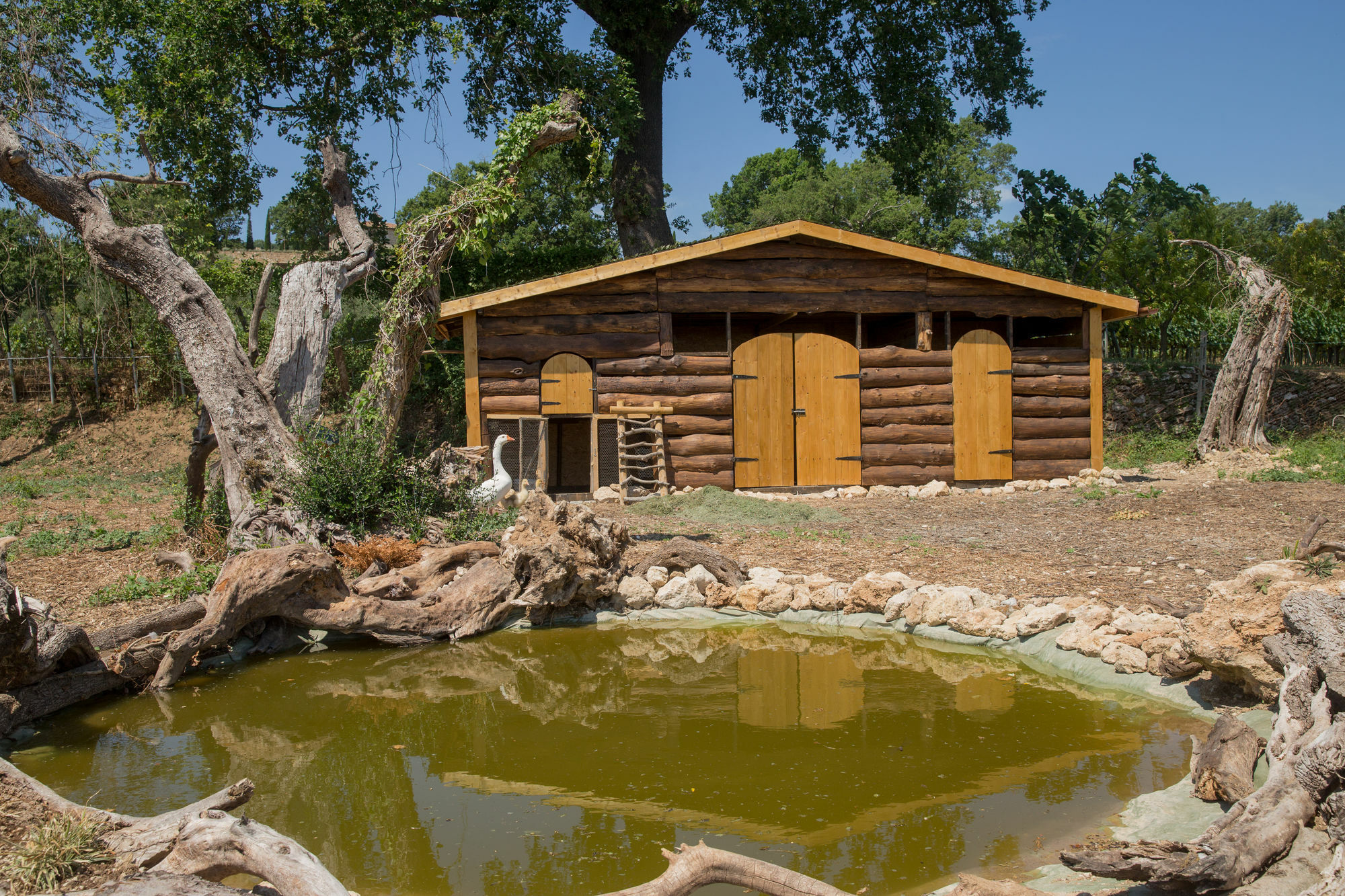 Agriturismo Le Anfore Sarteano Dış mekan fotoğraf